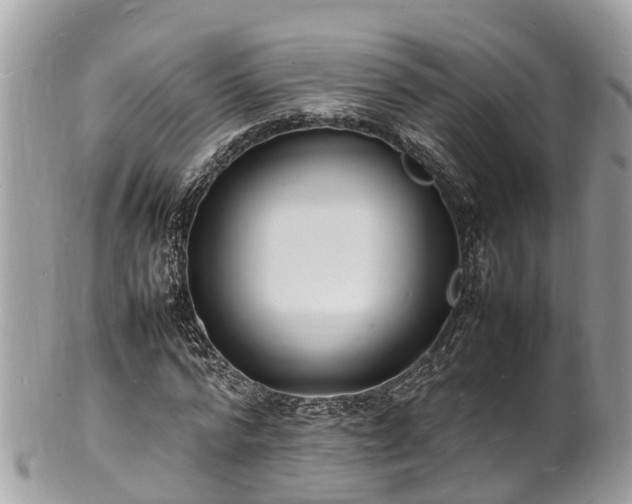 X0000100980776200807011442