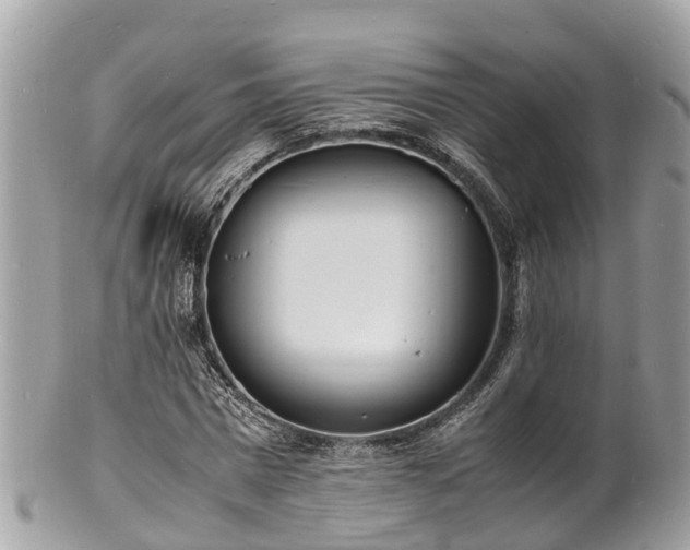 X0000100980777200807011442