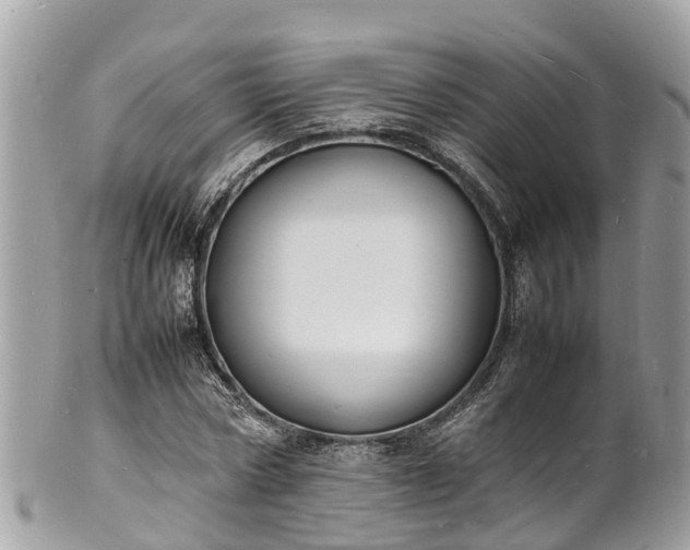 X0000100980778200807011442