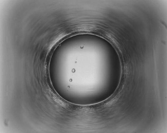 X0000100980779200807011442