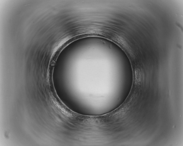 X0000100980780200807011442