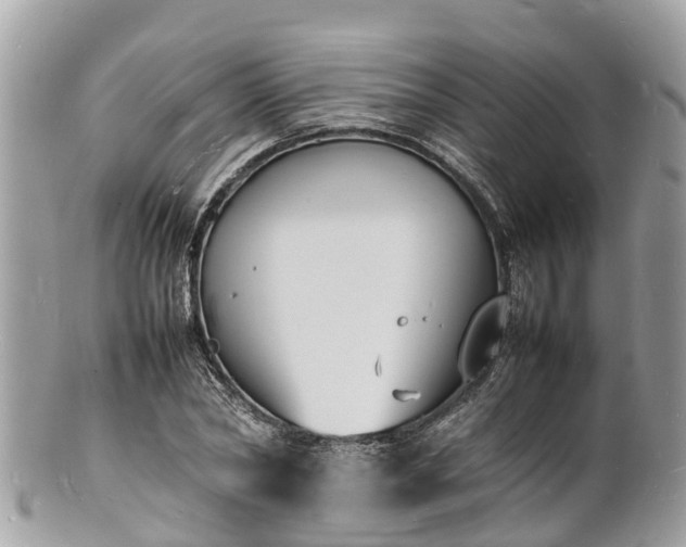 X0000100980782200807011442