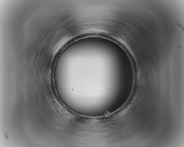 X0000100980783200807011442