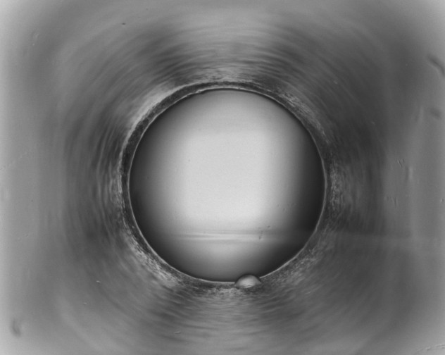 X0000100980784200807011442