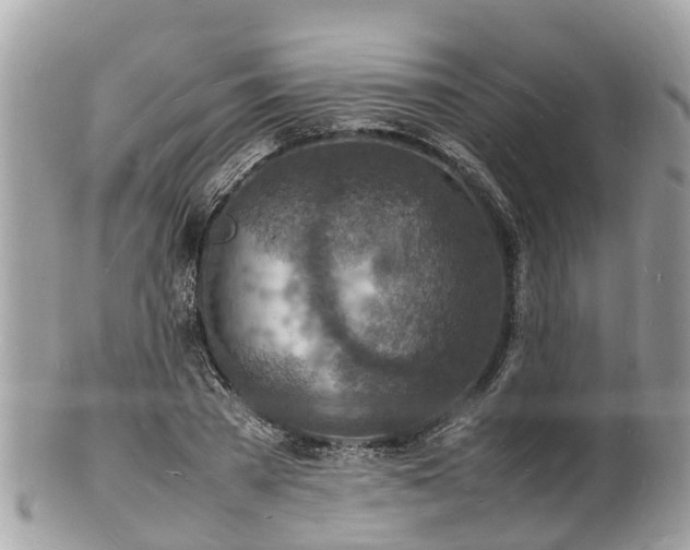 X0000100980785200807011442