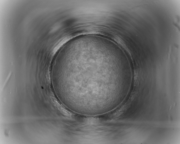 X0000100980789200807011442