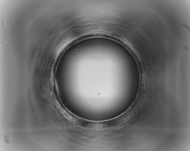 X0000100980791200807011442