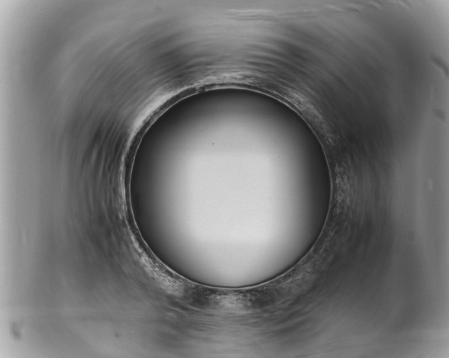 X0000100980792200807011442