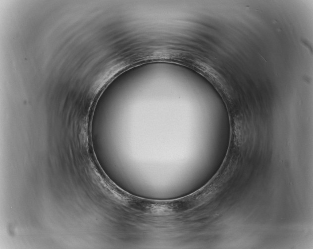 X0000100980794200807011442