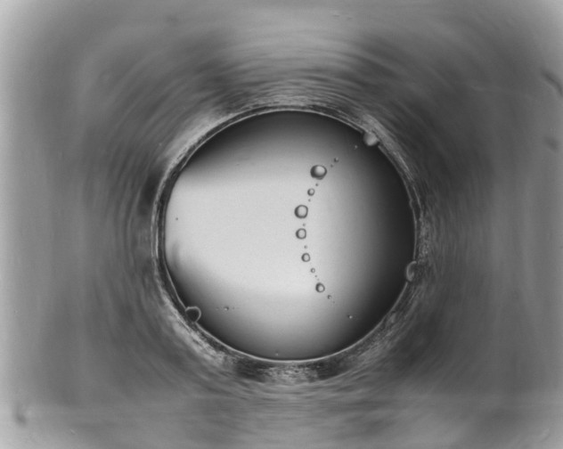 X0000100980795200807011442