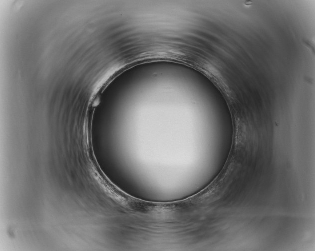 X0000100980796200807011442