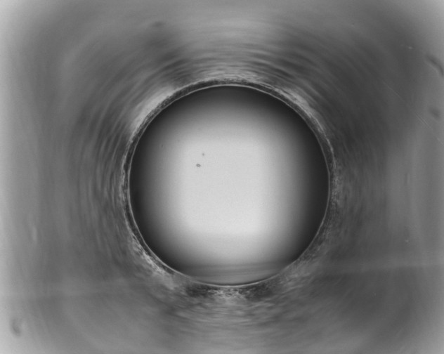 X0000100980799200807011442