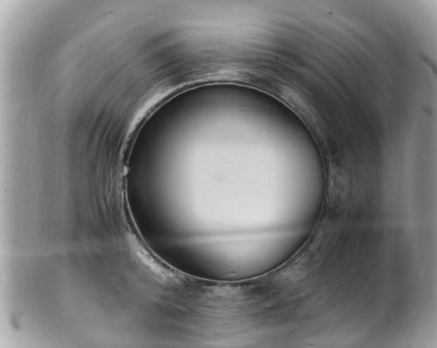 X0000100980800200807011442