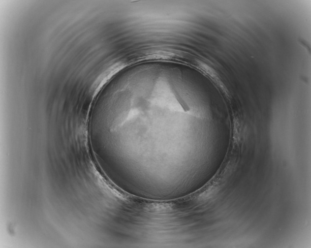 X0000100980802200807011442