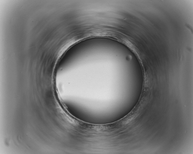 X0000100980803200807011442