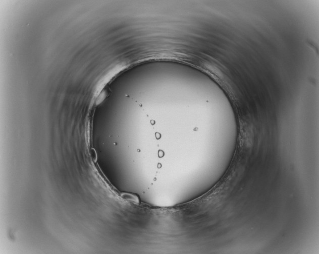 X0000100980804200807011442