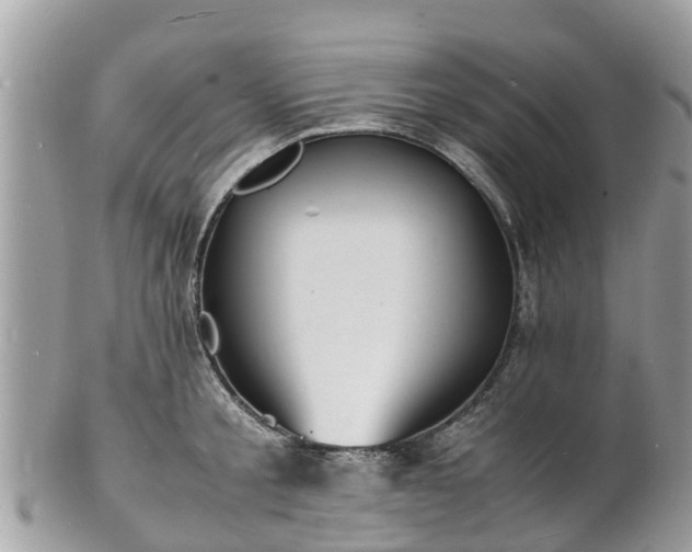 X0000100980805200807011442