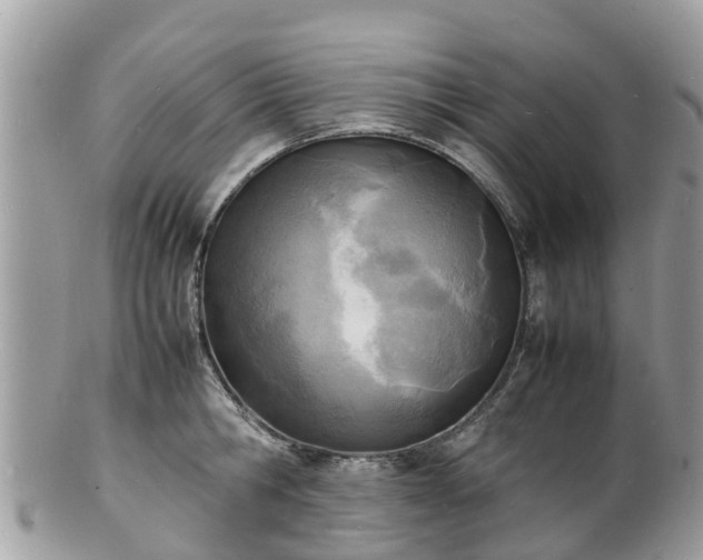 X0000100980806200807011442