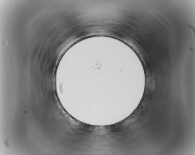 X0000100980807200807011442