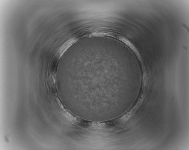 X0000100980809200807011442