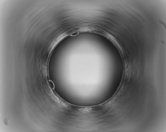 X0000100980810200807011442