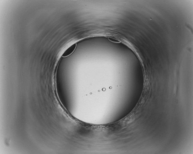 X0000100980811200807011442