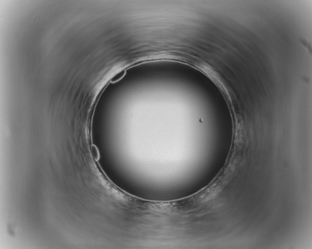 X0000100980813200807011442