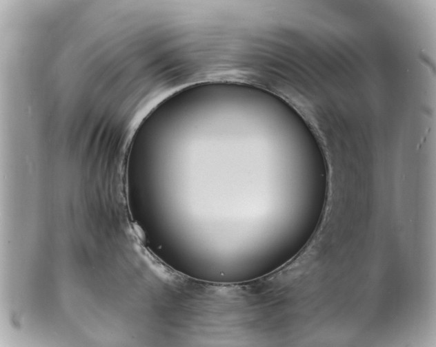 X0000100980816200807011442