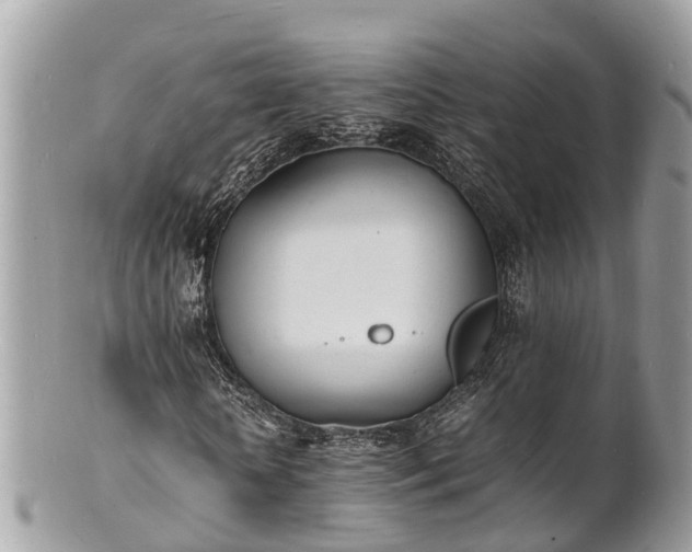 X0000100980818200807011441