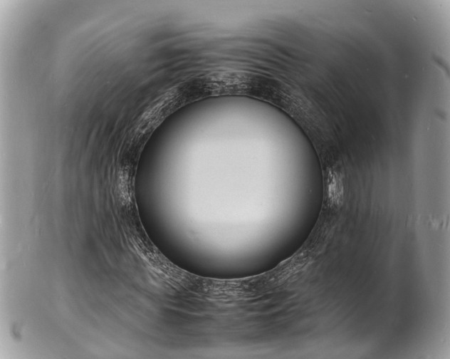 X0000100980819200807011441