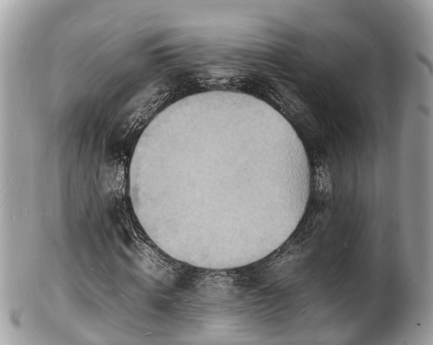 X0000100980820200807011441