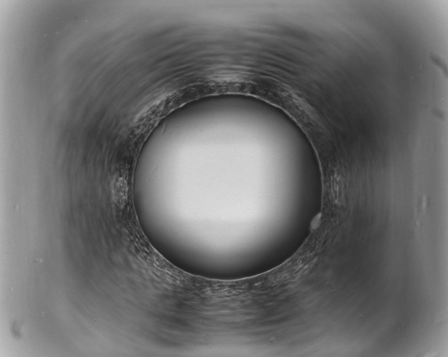 X0000100980821200807011441