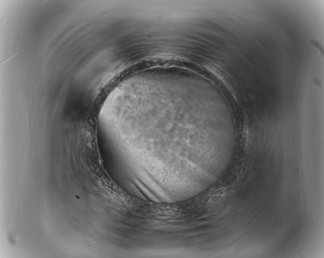 X0000100980823200807011441