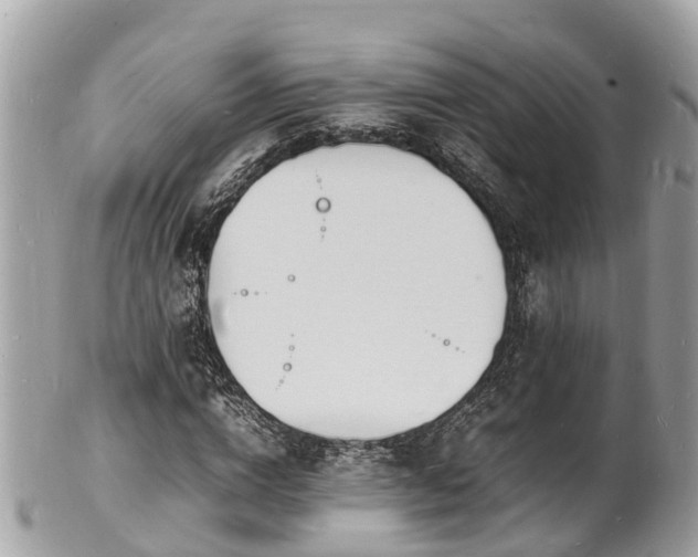 X0000100980824200807011441