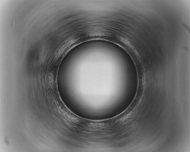 X0000100980825200807011441