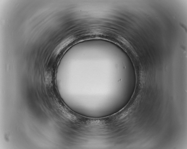 X0000100980826200807011441