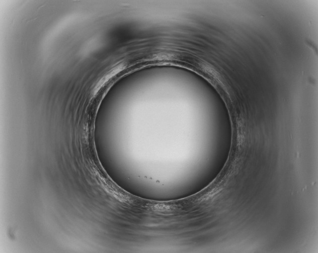 X0000100980827200807011441