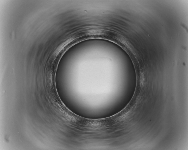 X0000100980829200807011441