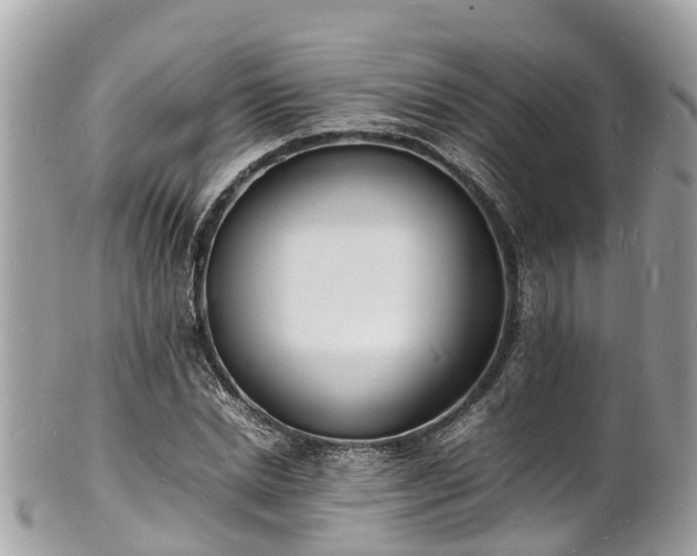 X0000100980830200807011441