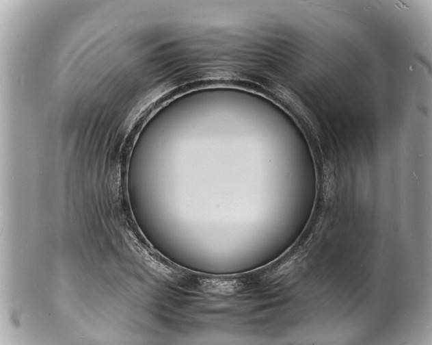 X0000100980831200807011441