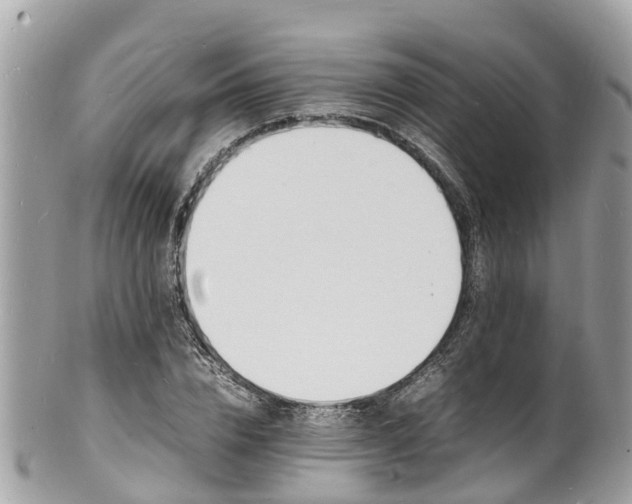 X0000100980832200807011441