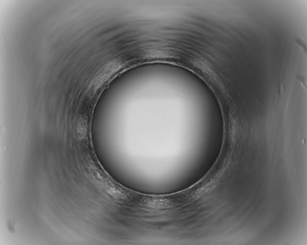 X0000100980833200807011441