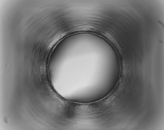 X0000100980834200807011441