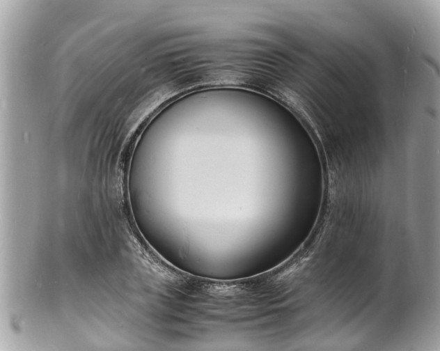 X0000100980835200807011441