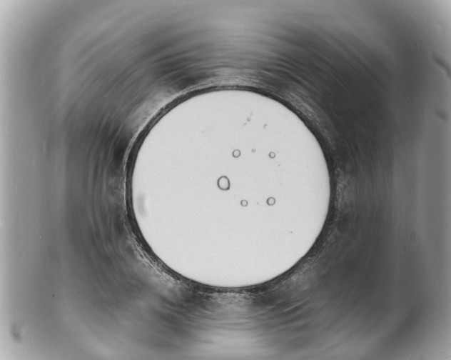 X0000100980836200807011441