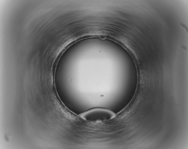 X0000100980837200807011441