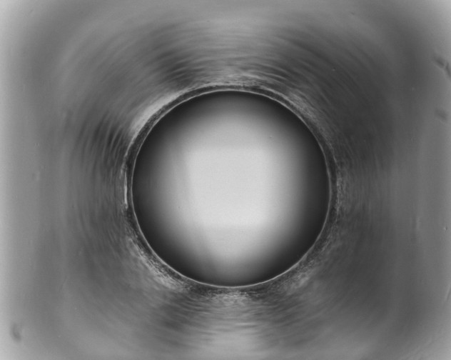 X0000100980838200807011441