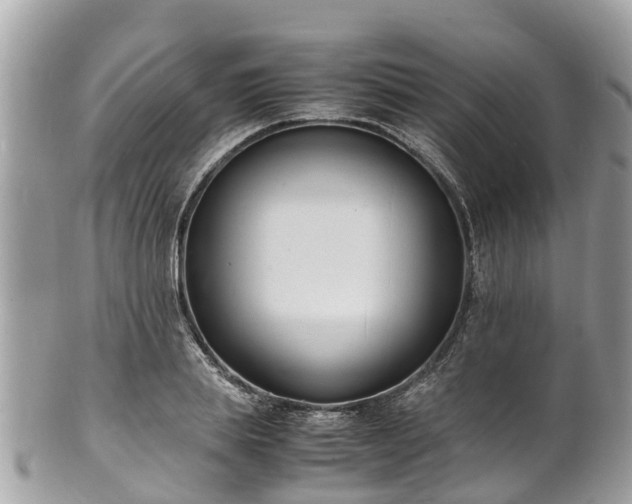 X0000100980839200807011441