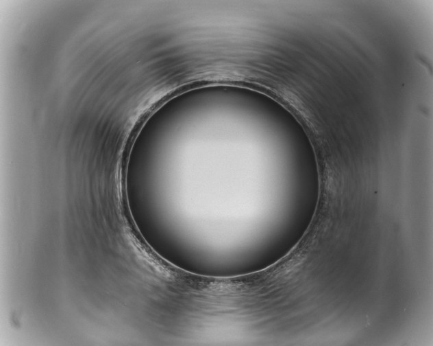 X0000100980840200807011441