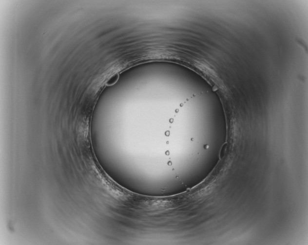 X0000100980841200807011441